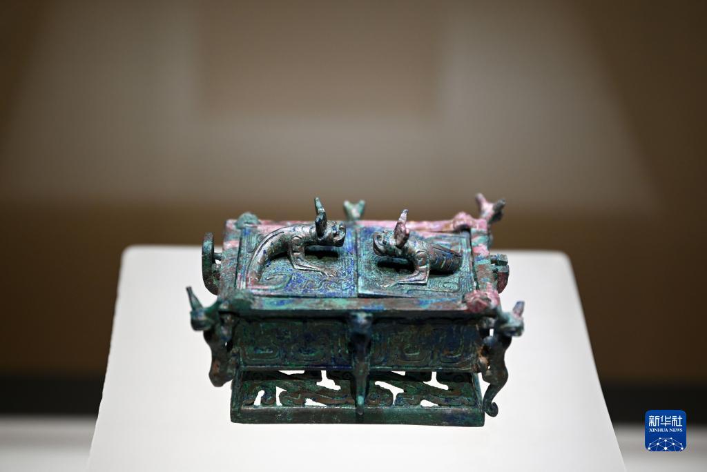 登录小太阳网站